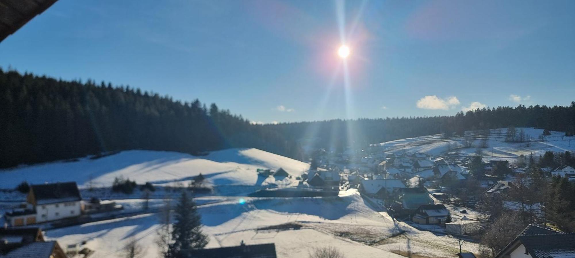 Auerhahn Bed And Breakfast - Black Forest - Waldhotel Eisenbach  Eksteriør bilde