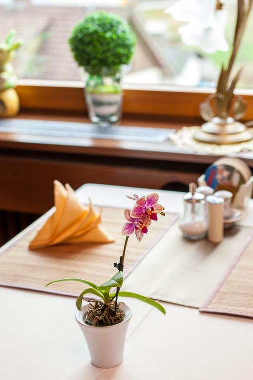 Auerhahn Bed And Breakfast - Black Forest - Waldhotel Eisenbach  Eksteriør bilde